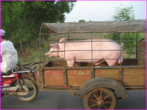 Transport avec chauffeur personnel