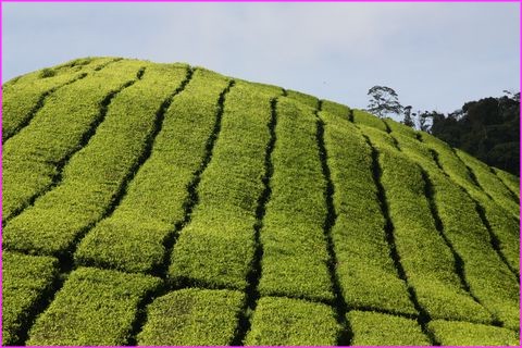 ... et de celui l� 