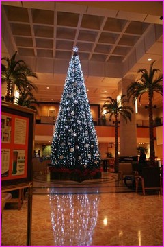 Ici aussi on pr�parait No�l