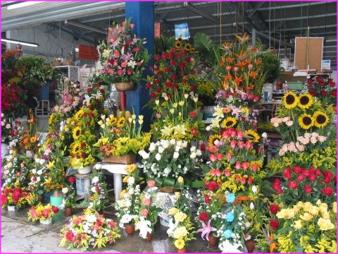 Des fleurs superbes en vente dans la rue