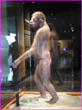 Grand  p������������������re a t-on envie de crier en voyant un de nos anc�tres au Museo de Antropologia