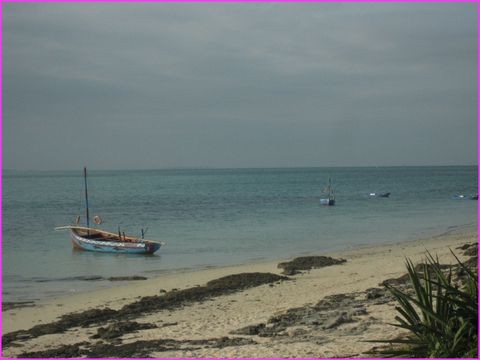 ... et ses belles barques qui vont chercher les bons gambas ... bons � griller .. et d�guster !