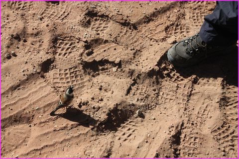 Dis Monsieur, t'aurais pas une petite miette ?