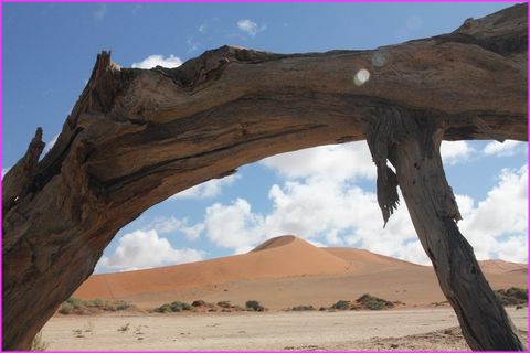 La m�me et le m�me, mais vue de dessous