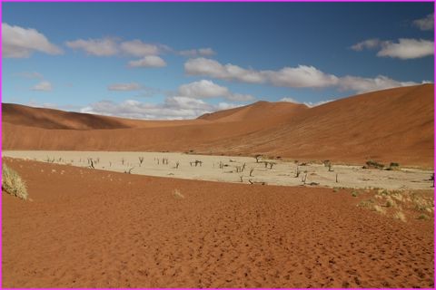 Dead Vlei et une �trange atmosph�re
