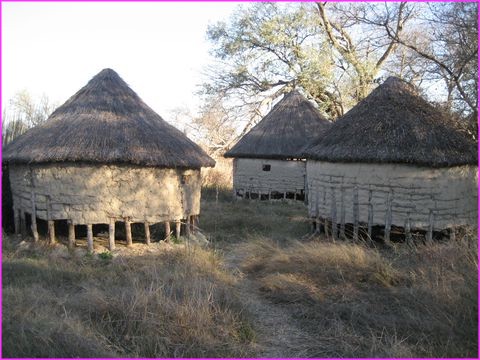 Huttes traditionnelles dans la r�gion du Caprivi