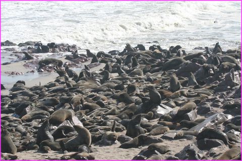 ... je suis par l� !