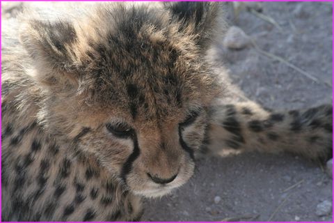 Me voil� rassasi� !