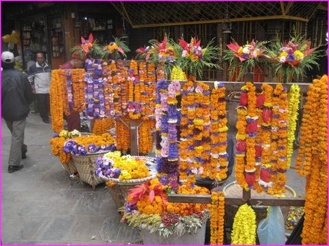 ... et les couleurs des belles fleurs aussi