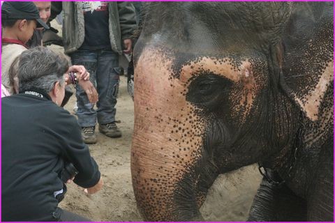 Et o� tu as mis ton maquillage toi ?