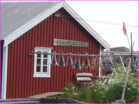 La ville de A aux Lofoten : morues qui s�chent