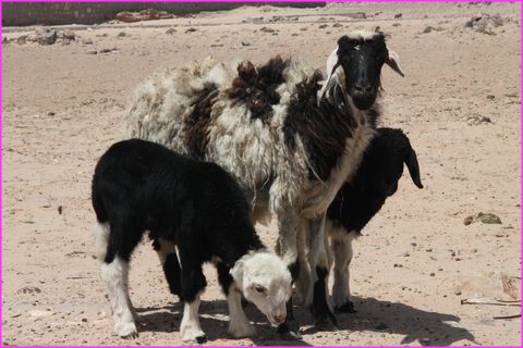 ... bon faut dire que Maman est toute m�lang�e elle !