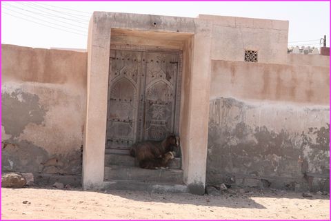 Et si on se tapait une petite sieste � l'ombre du porche ?