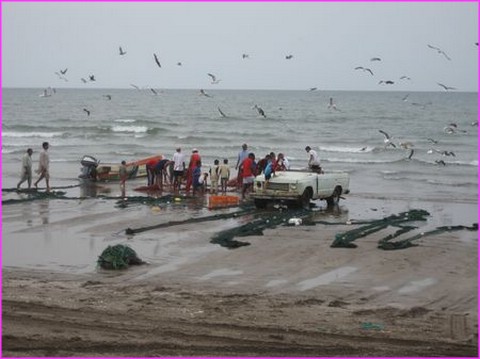 Retour d'une p�che artisanale