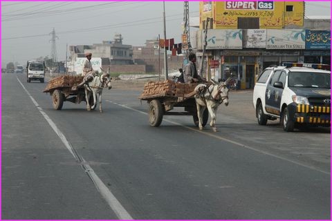Dans les villes et villages, beaucoup de petits �nes, d'hommes, mais nous n'avons jamais vu de femmes !