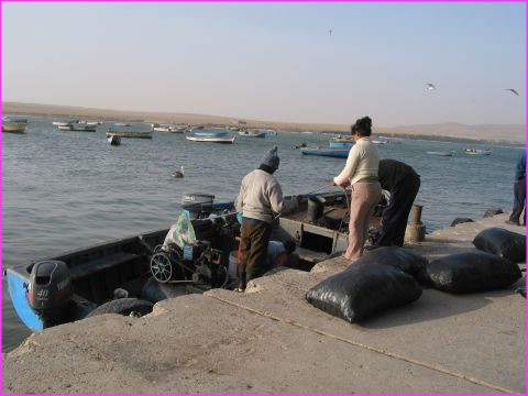 Arriv�e des p�cheurs � la playa de Lagunillas, au Parc National de Paracas