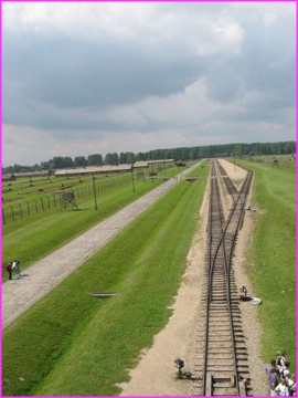 La tristement c�l�bre ligne de chemin de fer qui arrive au milieu du camp de Birkenau