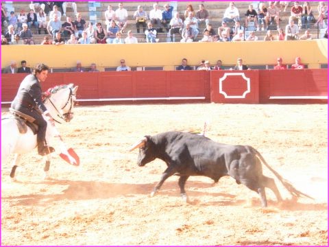 Corrida � Albufeira