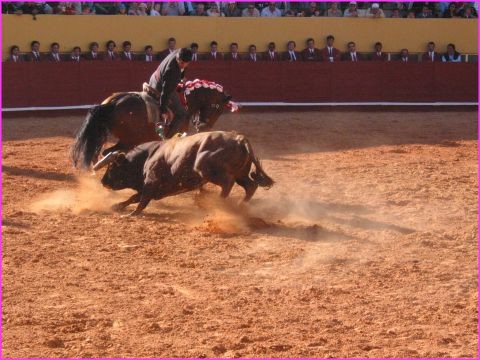 corrida � Albufeira