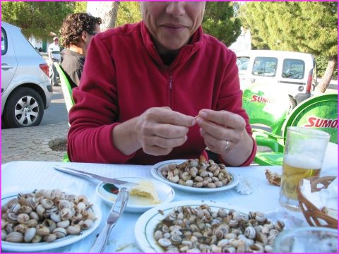 D�gustation d'Escargots (mais oui Messieurs les Anglais) � Serpa