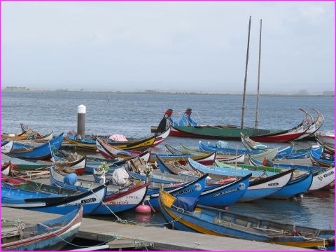 Jolies barque � Torreira