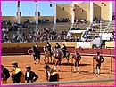 Le paseo de la corrida � Albufeira
