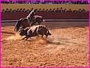 corrida � Albufeira