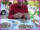 D�gustation d'Escargots (mais oui Messieurs les Anglais) � Serpa