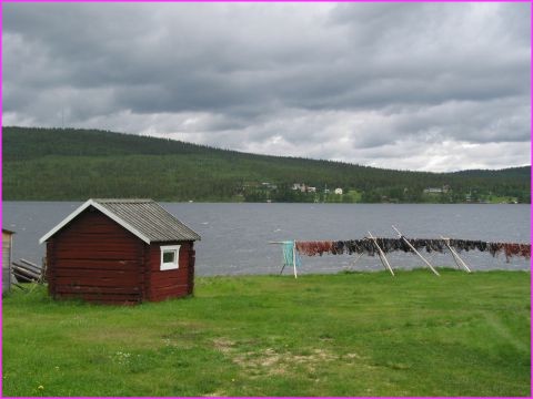La cabane au fond du jardin ... et au bord du lac .... avec les filets qui s�chent