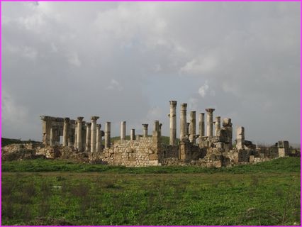 De beaux restes en quantit� ph�nom�nale � Apamee