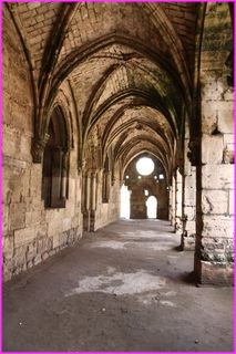 Belle perspective au Krak des chevaliers