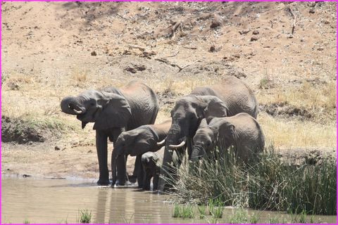 L'heure du bain dan l'eau fra�che