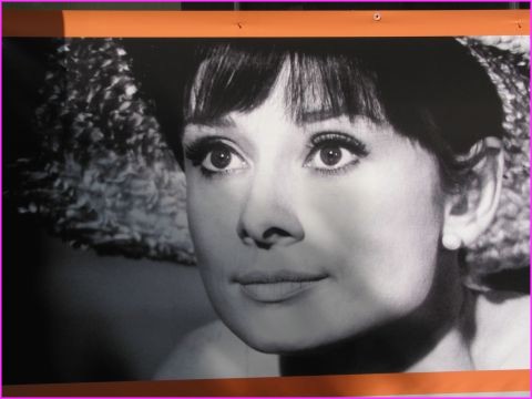 Vous avez devin� ? Une expo photo lui rendait hommage : Audrey Hepburn