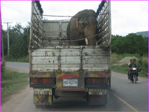 Heureusement, �a c'est pas comme chez nous