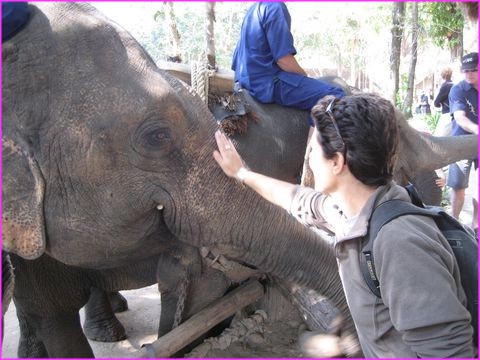 Que je t'aime que je t'aime ... que je t'aime .....