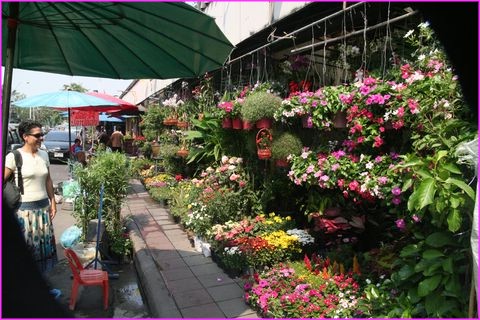 Et aussi des fleurs au march�