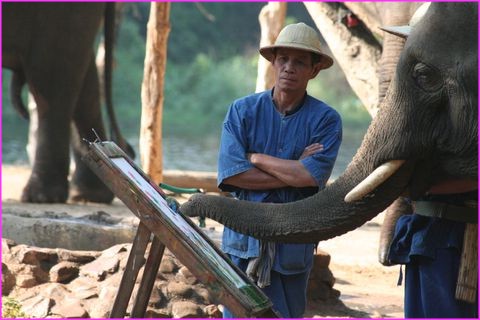 Voil� le peintre au travail, sous l'oeil attentif de son mahout