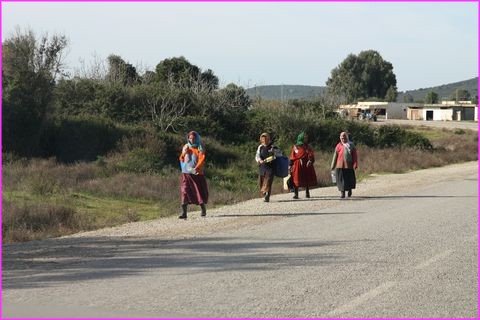 Femmes berb�res dans le Nord de la Tunisie. O� sont les hommes ? Au caf� o� ils sirotent leur caf� au lait.
