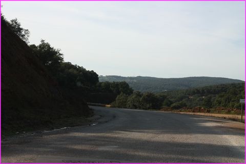 Des paysages de verdure, toujours au Nord