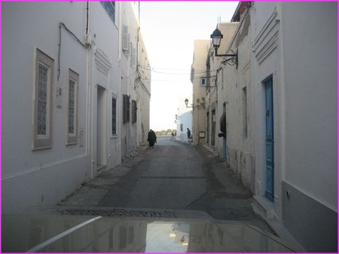 Parfois la voie pour arriver � un bivouac est �troite pour Prosper (ici pour aller au phare de Madhia)