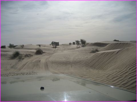 Le plus dur : choisir une piste parmi les centaines faites par les milliers de 4x4 qui r�dent par l�