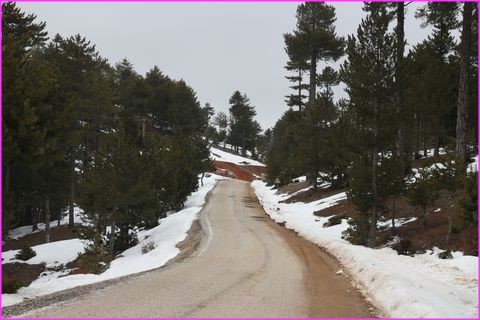 Belle travers�e de for�ts enneig�es sur la route vers la Cappadoce, sur le plateau d'Anatolie