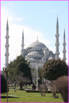La superbe et in�gal�e Mosqu�e bleue