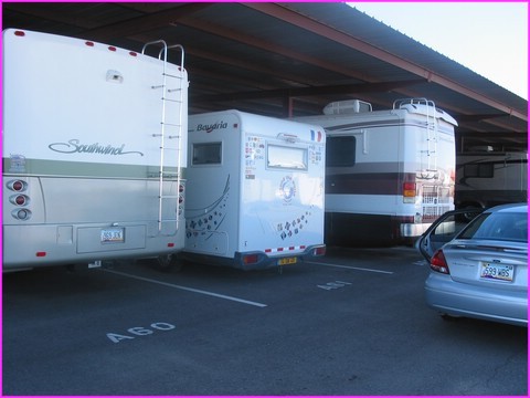 Mes gardes du corp � Phoenix pendant que mes ma�tres se la coulent douce en France