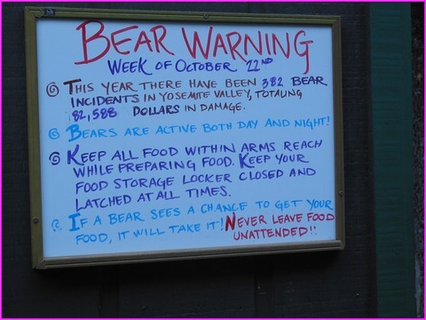 C'est pas des blagues, des ours, il y en a, notamment dans Yosemite et au camping o� nous passions la nuit