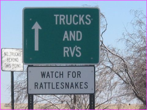 Et on vous dira que voyager ne pr�sente aucun risque ! Ici les vilains serpents avec des sonnettes