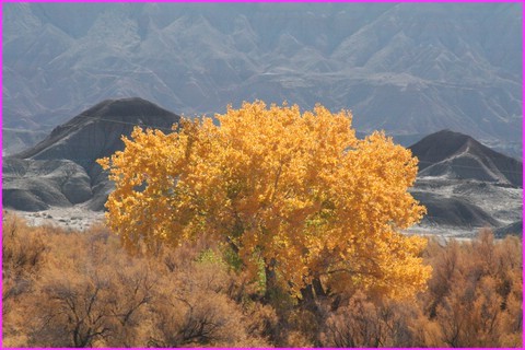 ... et d'autres qui se portent � merveille 