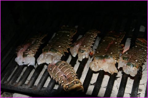 Vous ne r�vez pas : de vraies langoustes p�ch�es par Peter notre ami