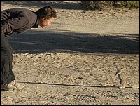 Dis Madame, t'aurais pas un peu de bonne chose pour moi ? (Ecureuils vus ... partout !)