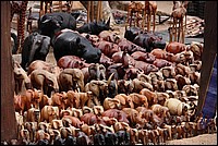 Bon, d'accord, on triche un peu mais l� c'est une vraie horde ! (vu dans l'un des inombrables march�s de route)